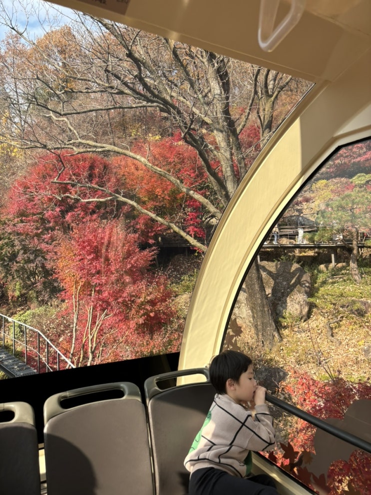  화담숲 11월 단풍 예매 ::취소표티켓팅/모노레일/주차팁