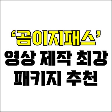  jw포트폴리오 / 박자이너 / 영상 제작 최강 패키지 곰이지패스 추천! / 꼭 알아야 하는 곰믹스, 곰이지패스.
