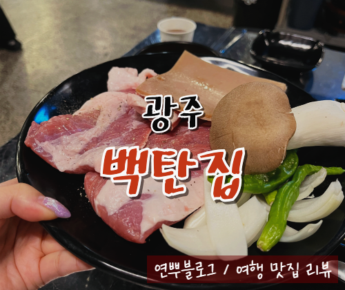  광주 동명동 고깃집 백탄집 신상 맛집 리뷰