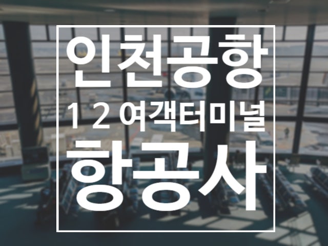  대한항공 아시아나 항공사별 인천 공항 1 2 여객터미널 위치 취항 항공사 수화물 규정