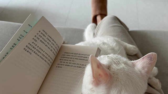 집사의 밀린 일상 기록