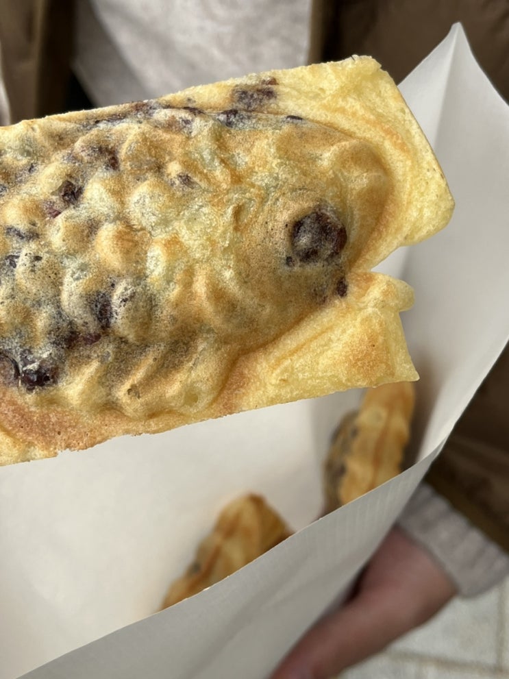  열심히 싸돌아다닌 11월 일기