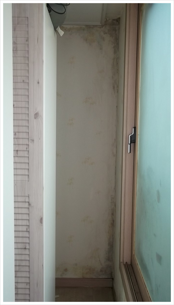  방 벽지 곰팡이제거 할때 주의점!!