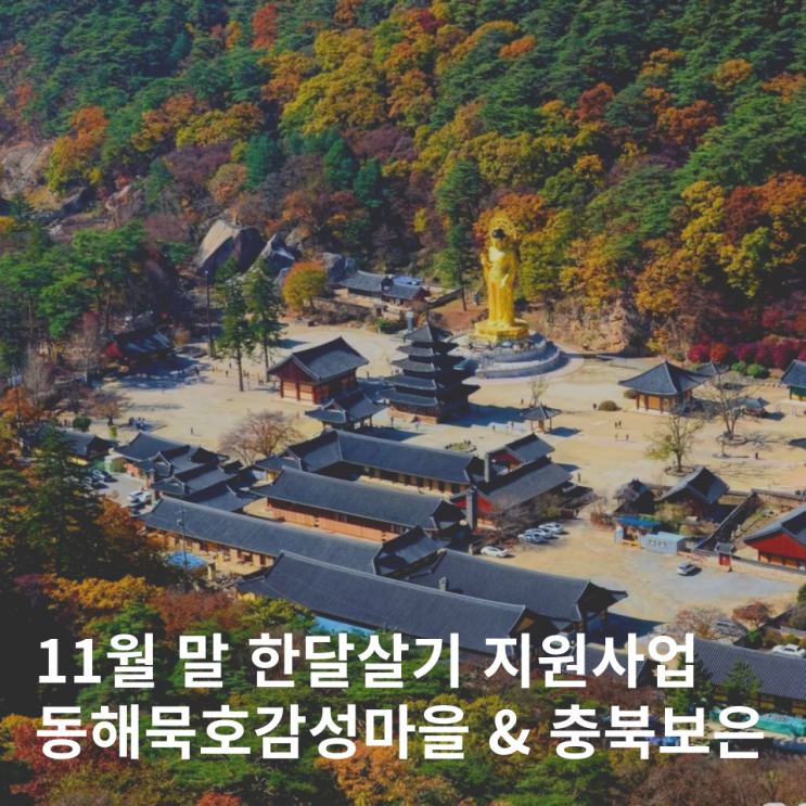  한달살기 여행지원금 11월 보은 동해 묵호감성마을 지원사업 정보