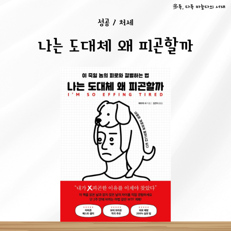  에이미 샤 나는 도대체 왜 피곤할까 서평