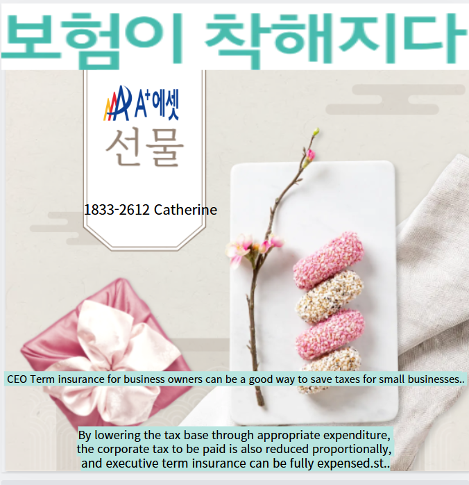 CEO 보험 경영인정기보험