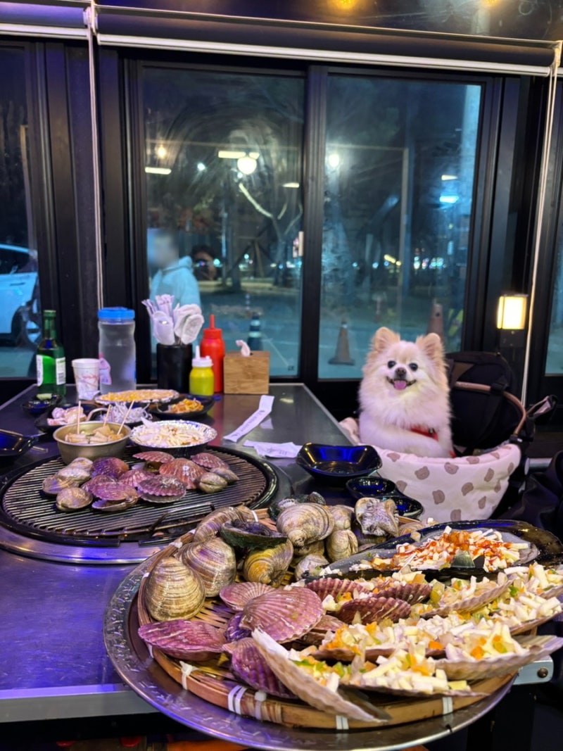 [인천/을왕리] '불타는조개구이' 애견동반 맛집 추천: 커플set(조개+왕새우구이) 내돈내산