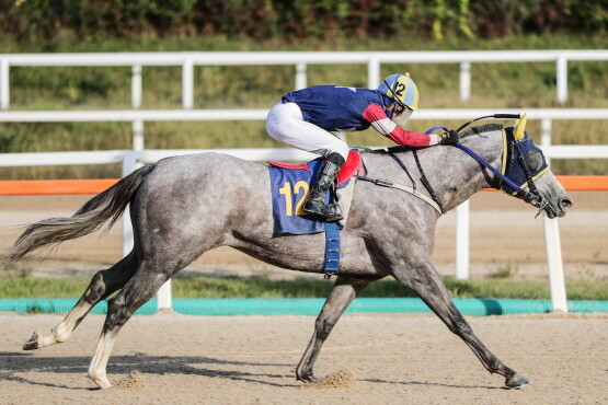  렛츠런파크 부산경남 브리더스컵 기념 놀멍쉬멍 페스티벌