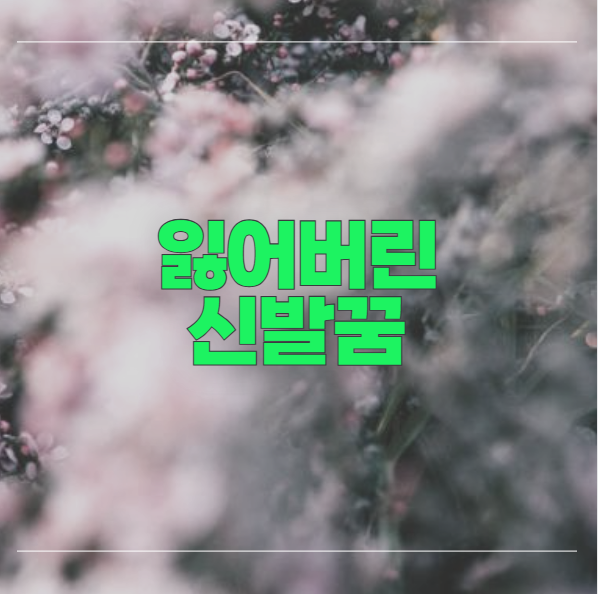 신발 잃어버리는 꿈, 짝짝이 신발꿈