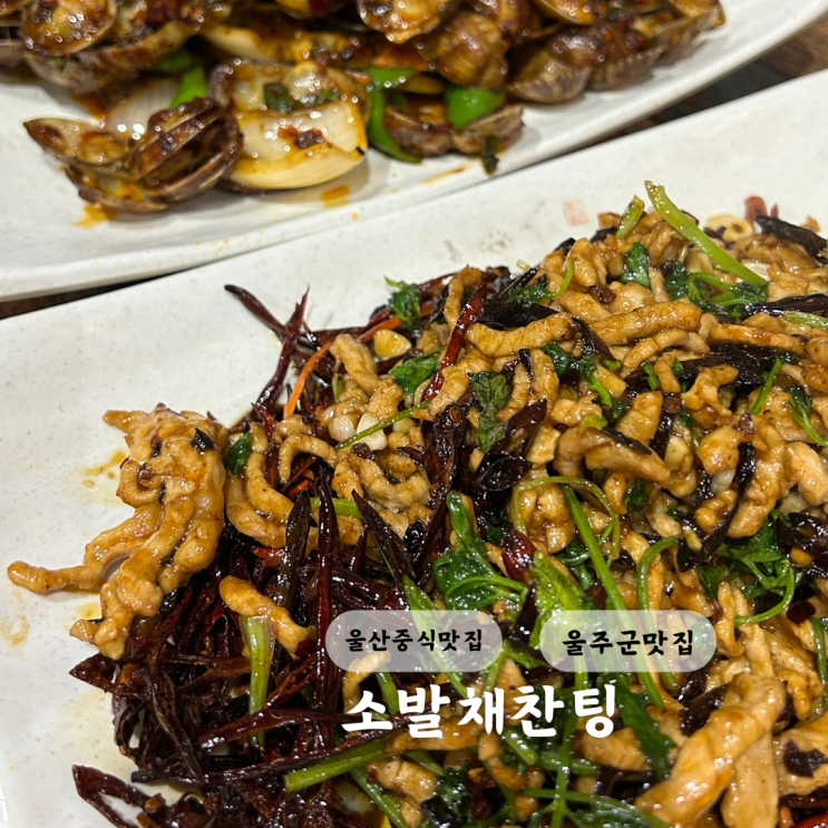  울산 울주군 덕신 중국집 소발채찬팅 중국 현지인 맛집