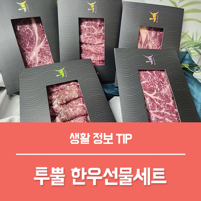 한우선물세트 투뿔한우, 24년 홀리데이 선물대첩 엄마네한우 어때요?