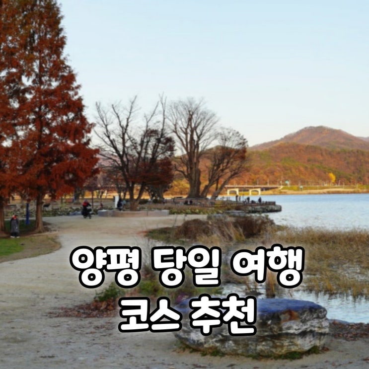  양평 당일치기 코스 추천 용문사 물맑은시장 카페 두물머리