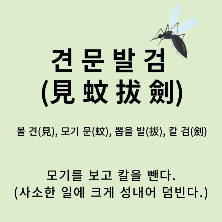 고사성어 뒤집어 보기 (52. 견문발검)