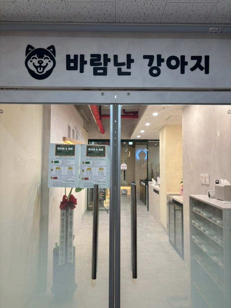 바람난강아지 애견유치원 호텔 카페