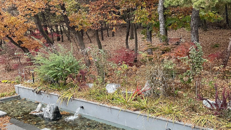  [이천] 카페더엠 이천본점, 신선한 우유의 매력이 가득한 대형 카페