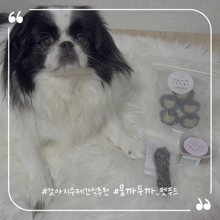  강아지수제간식추천 기호성좋은 뭉까두까 펫푸드