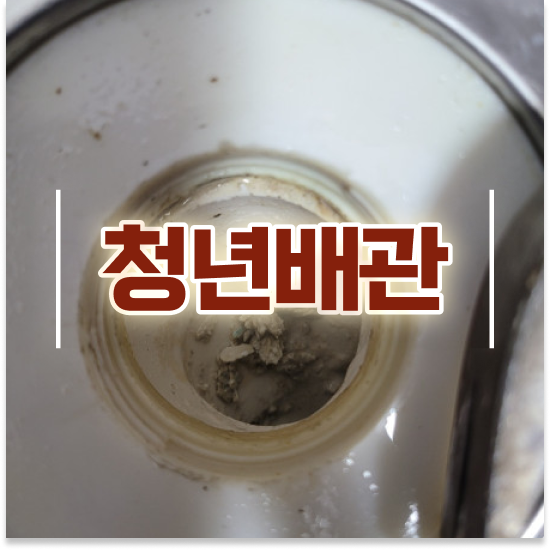  노원구 월계,공릉 청년배관케어 확실한 해결 방안
