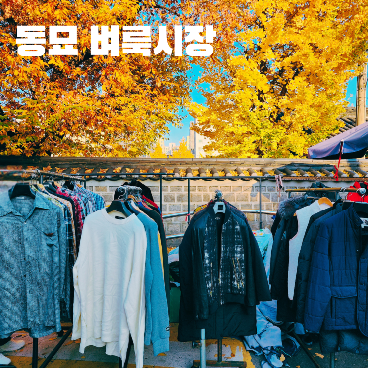  동묘 구제시장 위치 운영시간 종로 가볼만한 곳 놀거리