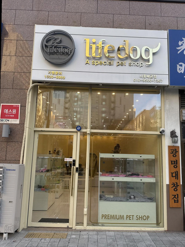  라이프독 시흥점, 강아지 분양의 매력과 체계적인 서비스에 감탄!