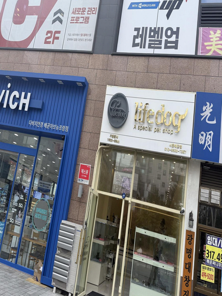  라이프독 시흥점, 편안하게 강아지를 만나고 고민할 수 있는 곳