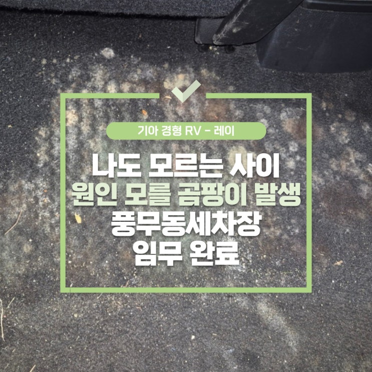  사우동실내세차, 자동차 내부 나도 모르는 사이 곰팡이 발생 풍무동세차장 제거 완료