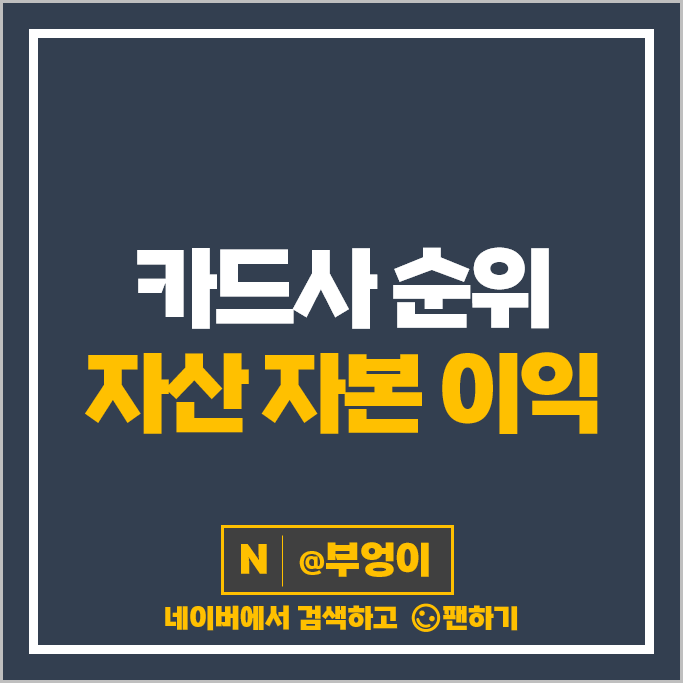 국내 카드사 순위 신용카드사 종류 자산 자본 매출 순이익 국내 카드사 순위 신용카드사 종류 자산 자본 매출 순이익