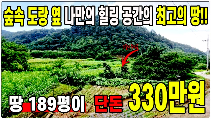 경북 땅 중 의성 토지매매 찾는 분 이 경매 물건 조심하세요!!