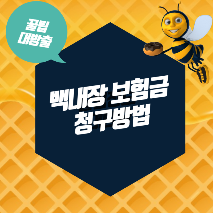 백내장 수술 후 가격 비용 보험 청구방법