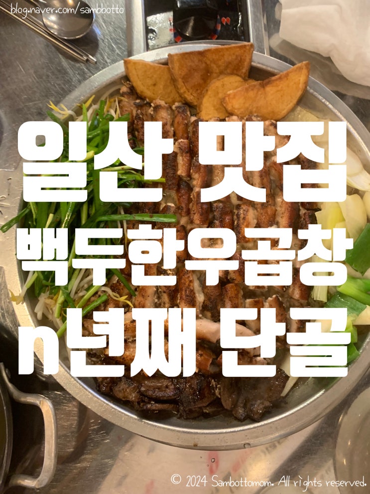  일산 곱창 맛집 | 백두한우곱창 | 내돈내산 또간집