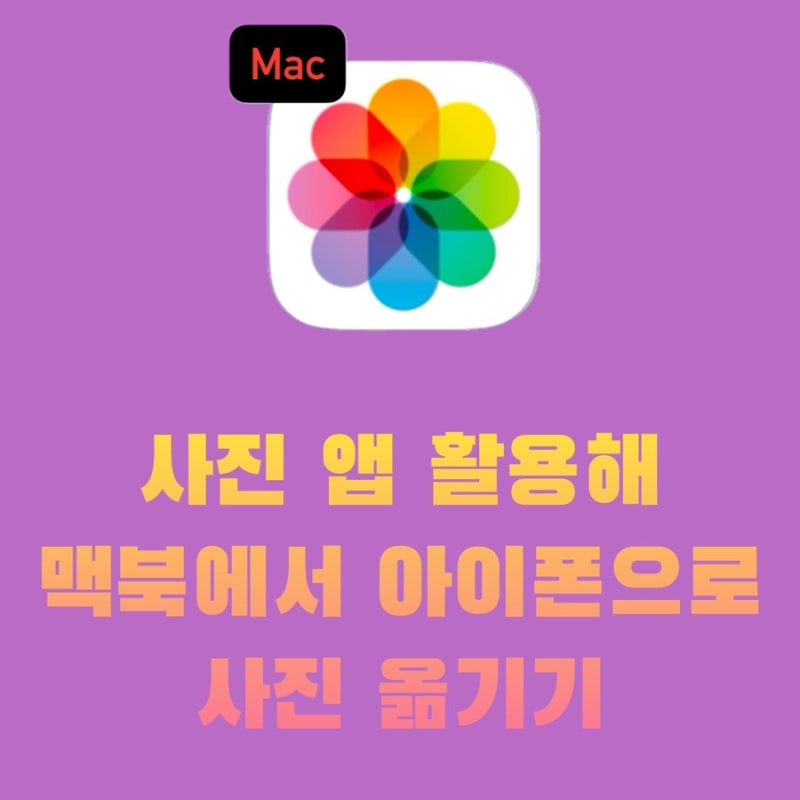 사진 앱을 활용해 아이폰에서 맥북으로 사진 옮기기