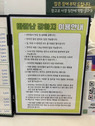 사진 3