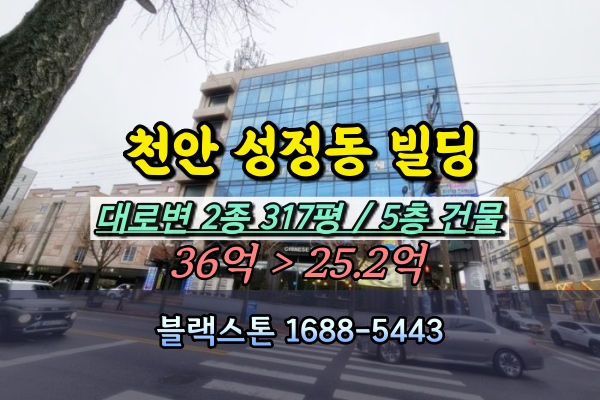  천안 성정동 빌딩 경매 20억대 5층건물