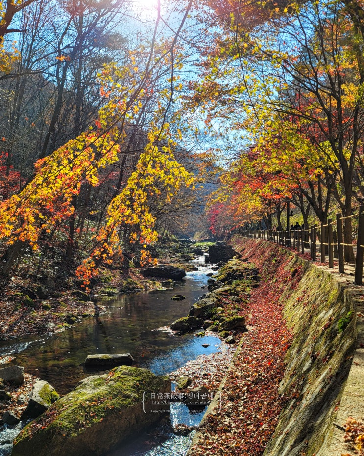  강천산 군립공원 단풍 등산코스 입장료 주차장 기차