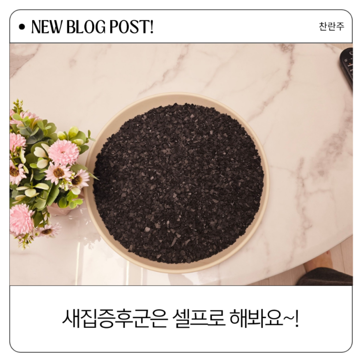  새집증후군으로 셀프베이크아웃