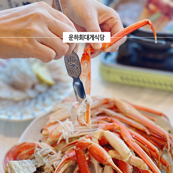  포항 죽도시장 맛집 횟집 먹거리 푸짐한 운하회대게식당에서 홍게, 물회