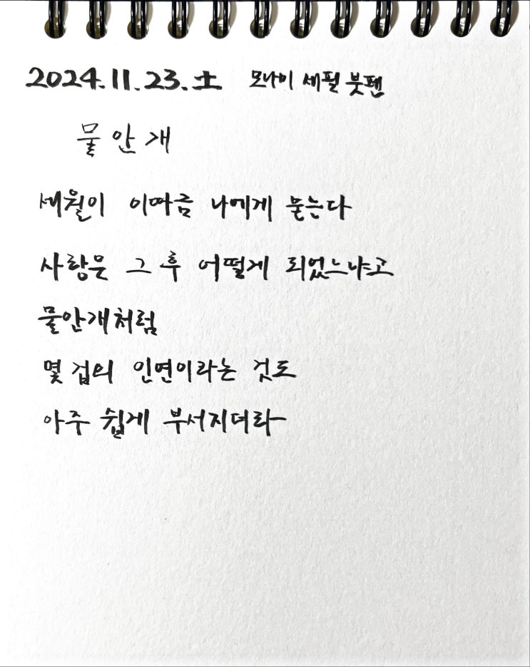  [필사] 물안개-류시화