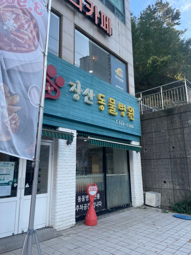 반여동동물병원 장산동물병원 방문 간단후기