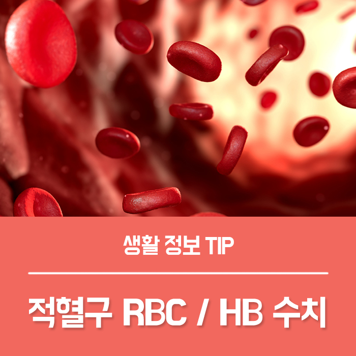  적혈구 수치 낮으면 증상, RBC 정상수치 HB 헤모글로빈 수치는?