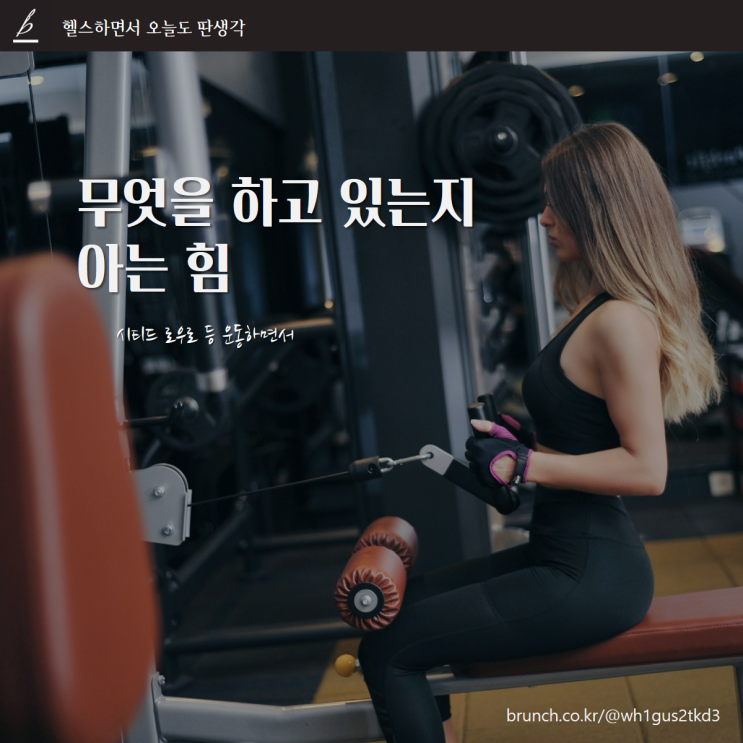 시티드 로우로 등 운동하면서 무엇을 하고 있는지 아는 힘 : 사과와 운동의 공통점