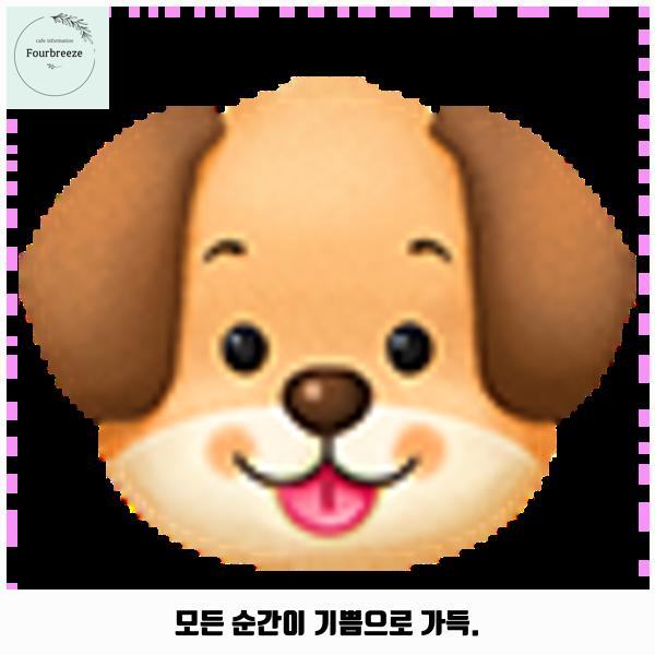 삐삐라떼 사진 5