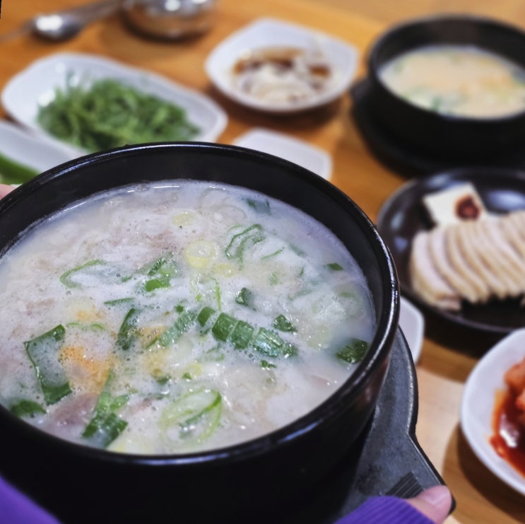  부산 돼지국밥 원조 24시 종가집돼지국밥 잡내 없는 부산국밥