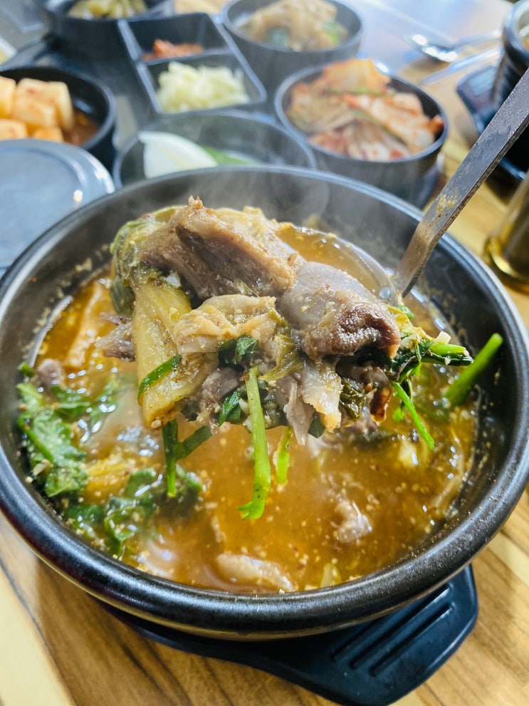  대구맛집 보양식 염소탕 맛있는 동인동 장인보양산염소탕