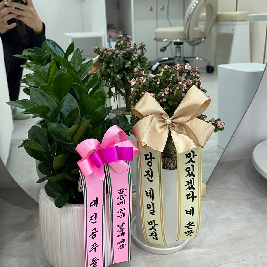오노르네일 사진 5
