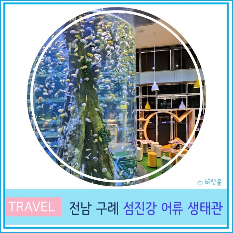  전남 구례 실내 아이와 가볼 만한 곳 아쿠아리움 섬진강 어류생태관