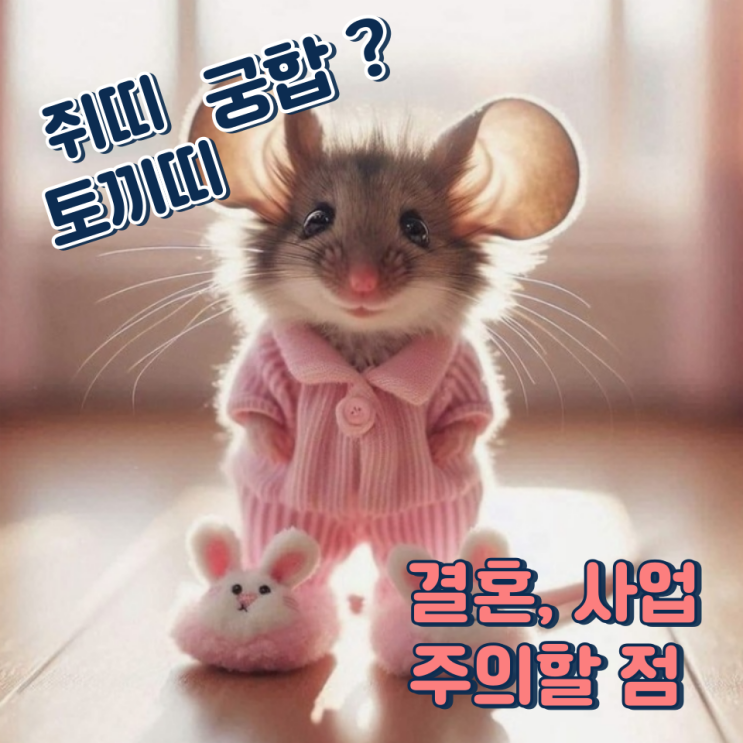  쥐띠 토끼띠 궁합 (결혼, 사업, 주의할 점)
