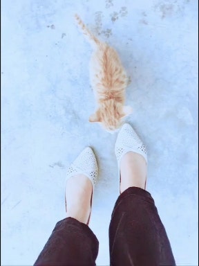 돌아가신 시어머니꿈/시어머니가기분좋은꿈/시어머니가웃는꿈/시어머니와대화하는꿈/시어....