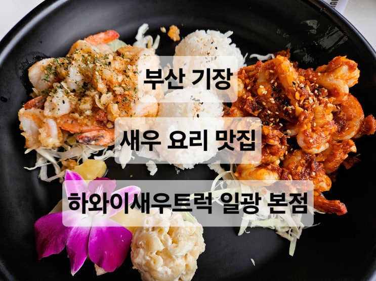  부산 기장 바다뷰를 보면서 다양한 새우요리를 먹을 수 있는 맛집  하와이새우트럭 일광 본점