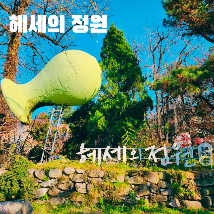  헤세의 정원 애견동반 가능 레스토랑 카페 그릴휘바 카페휘바 양주 가볼만한 곳