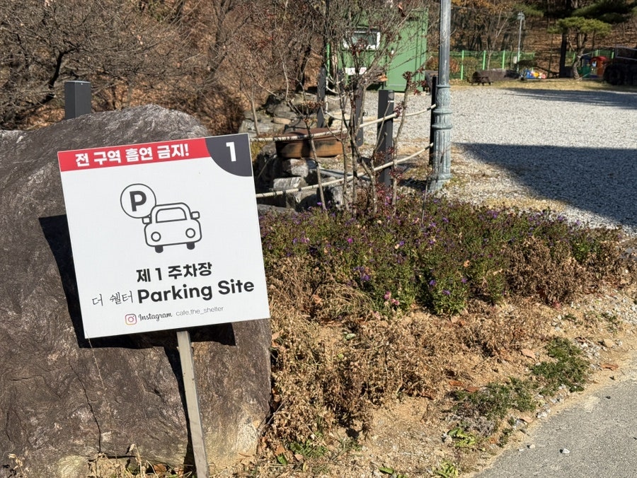 더쉘터 사진 3