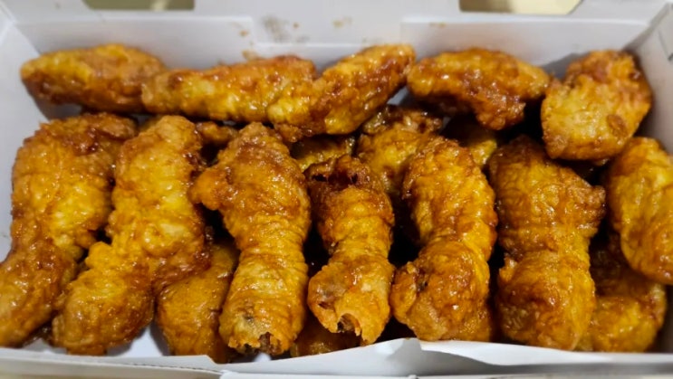  교촌 허니콤보 칼로리 & 피의게임3 정주행